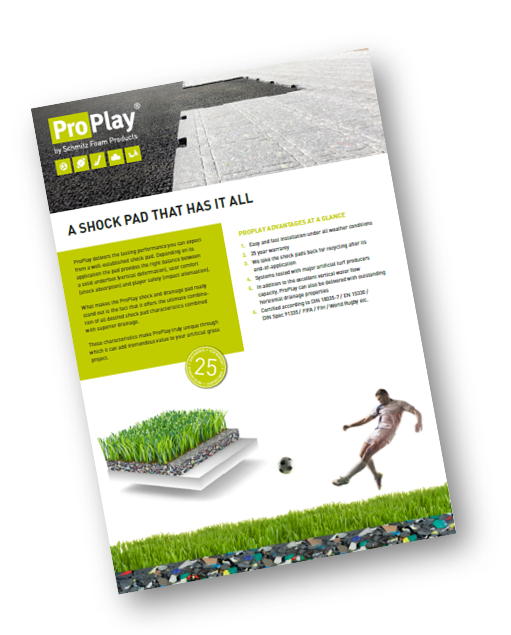 ProPlay-Sport Flyer