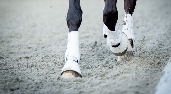 Equestrian - djockey-2