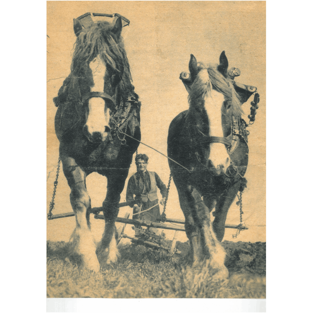 Joep met paarden 1080x1080
