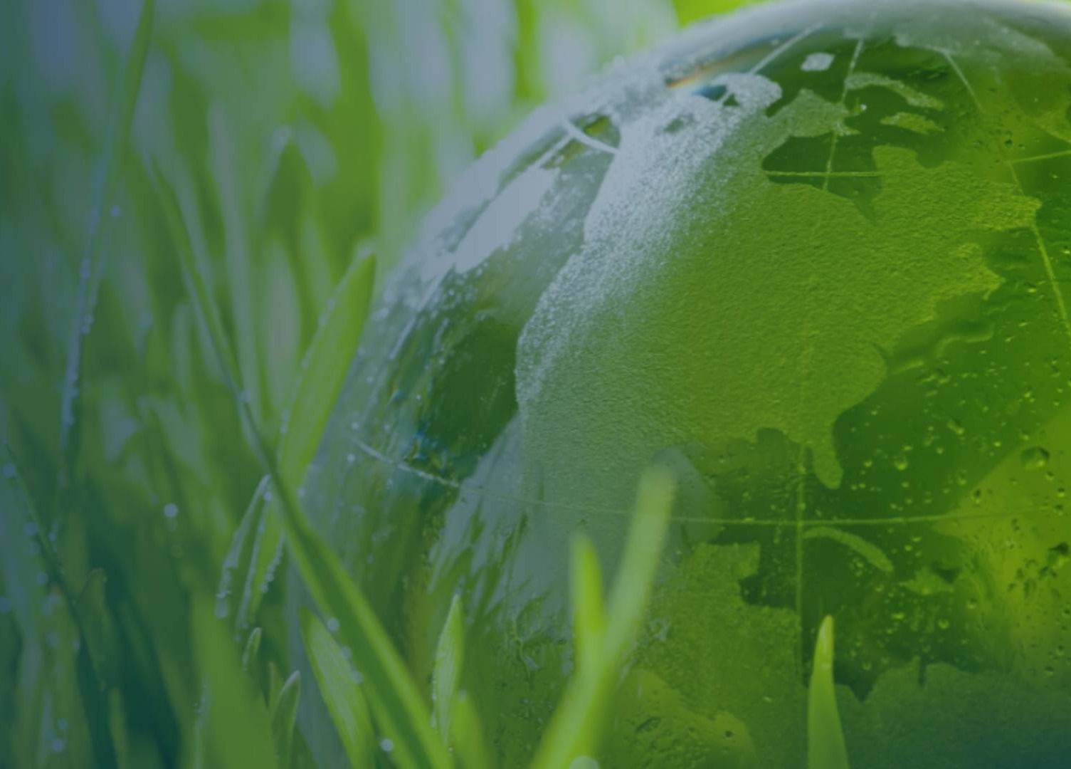 Zero Foam Waste 1920 x 1080 crop