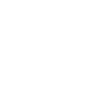 icon_lacrosse_transparent-1